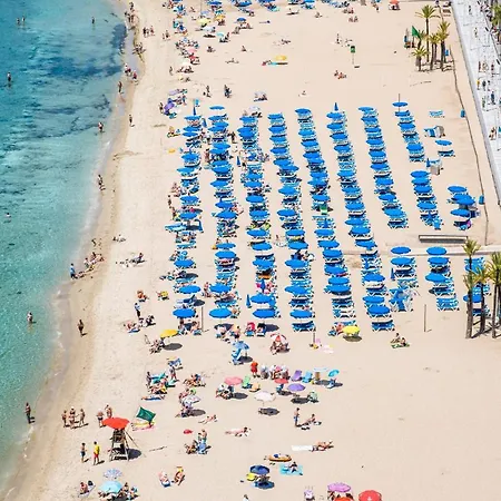 Don Miguel 9-c Levante * Benidorm